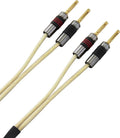 QED Golden Anniversary XT (2 x 2 m) - 1
