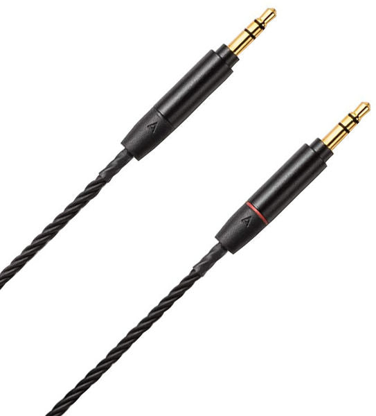 Astell&Kern PEE31 - 1